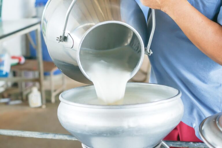 Métier de yaourtier